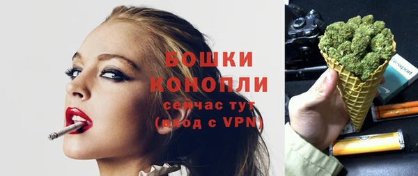 первитин Бикин