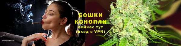 крисы Липки