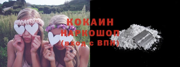 крисы Липки